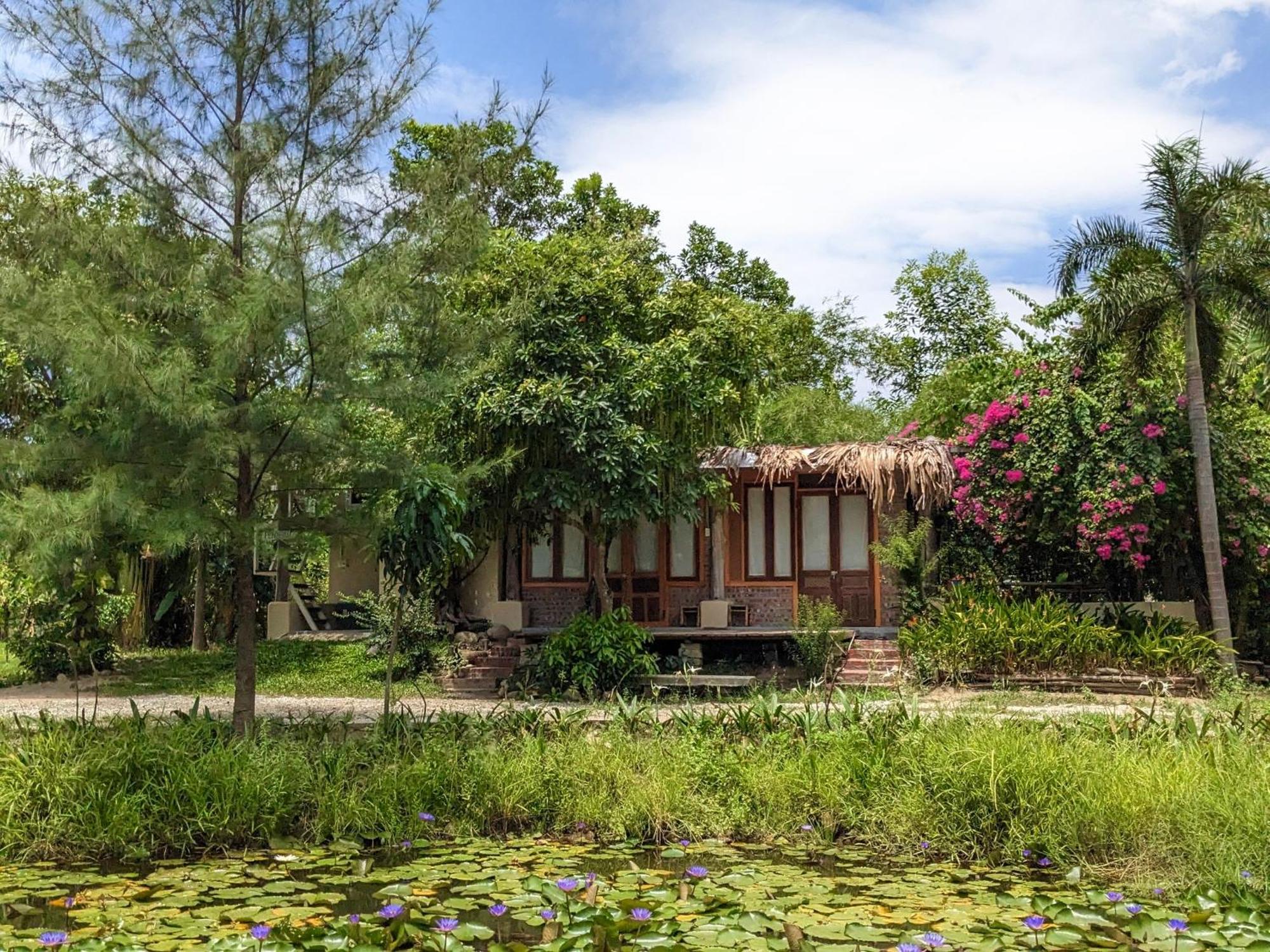 Homie Hava Homestay Лангко Экстерьер фото