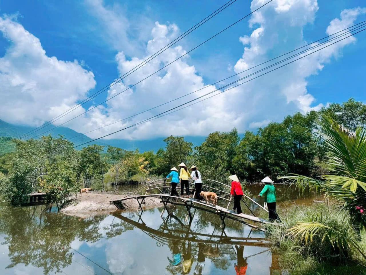 Homie Hava Homestay Лангко Экстерьер фото